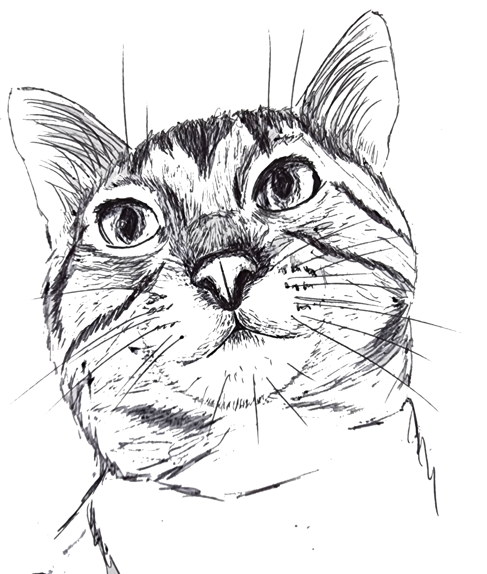 Amante degli animali